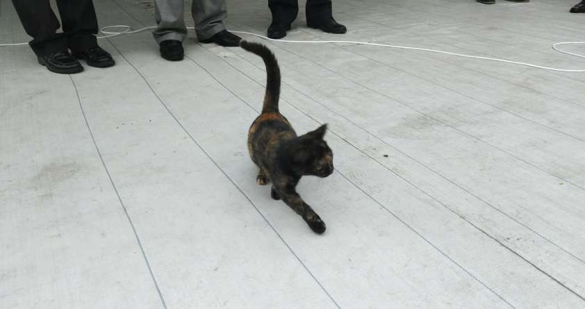 WeChat Image_20180607152310