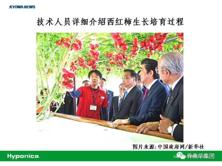 WeChat Image_20180607193624