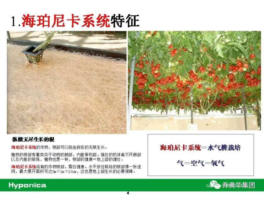 WeChat Image_20180607193638