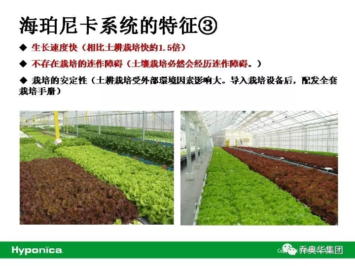 WeChat Image_20180607193649